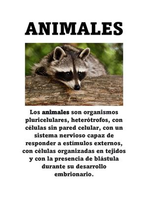 Animales