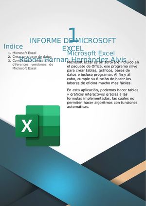 Informe De Excel
