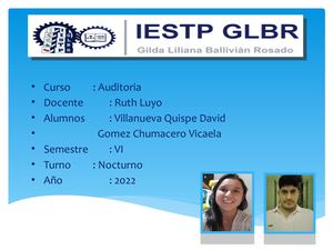 Auditoria Sctr Clinica Internacional