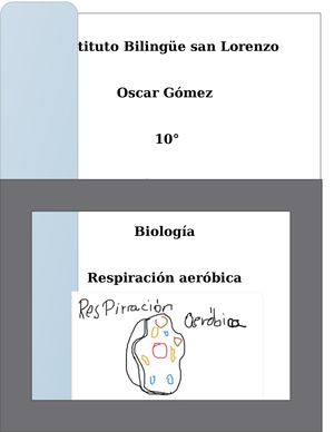 Revista Respiración Aeróbica