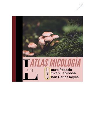 Atlas Micologia