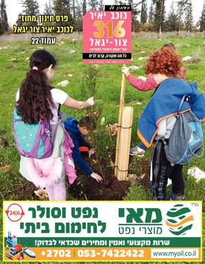 עיתון כוכב יאיר צור יגאל גליון 316