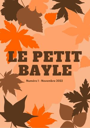 Le Petit Bayle N°1