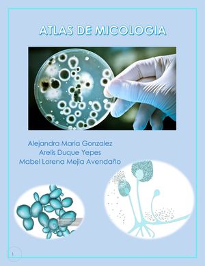 Atlas Micologia