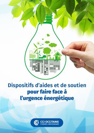 Guide Dispositif De Soutien Energie Occitanie