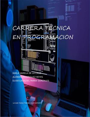 Carrera Tecnica En Programacion (3)