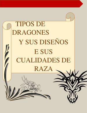 Tipos De Dragones