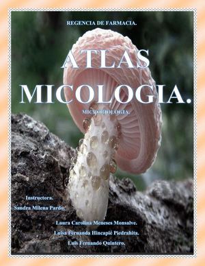 Atlas Micologia