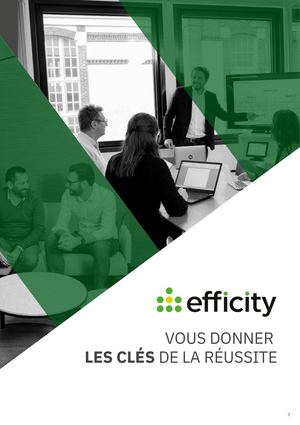 Ebook Effi City 2 0 Pdf