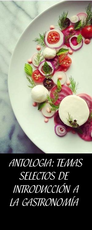 Proyecto Integrador Yuritza Vasquez Yesenia Coronel