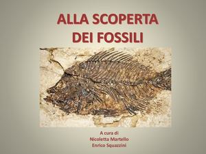 Fossili