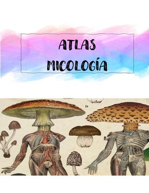 Atlas Micologia