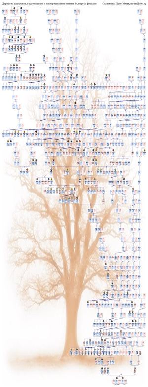 Ancestors tree of Lalu Metev