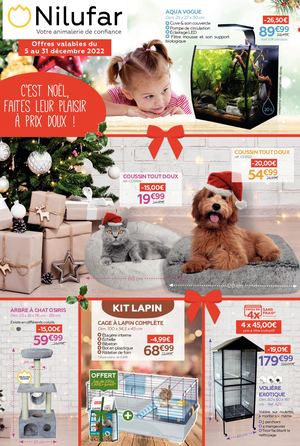 NILUFAR | TRACT NOEL 2022