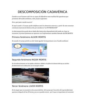 Descomposición Cadavérica