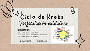 Ciclo de Krebs: Bioquímica