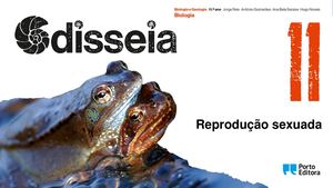 Odis11 Bio Ppt Cap4 Rep Sexuada Sem Cv