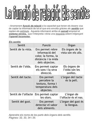 Funció De Relació 1  Els Sentits