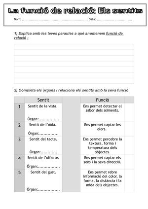 Funció De Relació 1  Els Sentits Prova
