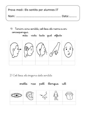 Prova Medi  Els Sentits Per Alumnes IT