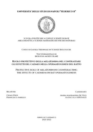 Tesi Maria Maddalena De Vivo