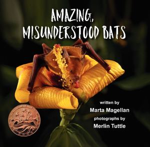 Amazing Misunderstood Bats