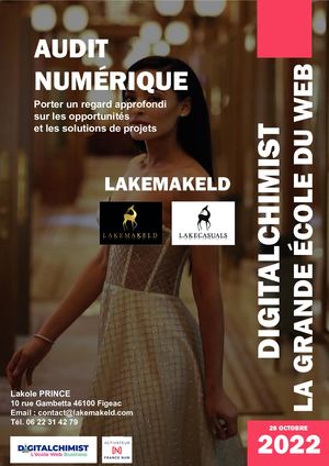 Audit de présence sur le web