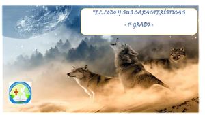 El Lobo Trabajo 1º