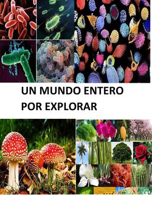 Un mundo entero por explorar.