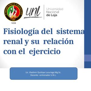 Fisiologia Del Sistema Renal