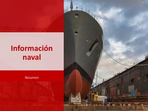 Ahmad Reza Ataie - Resumen