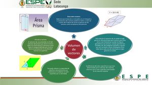 Organizador Grafico Guazumba Danny