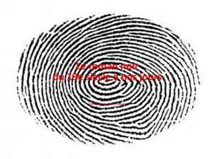 Le roman Policier du 19è siècle à nos jours