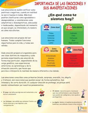 Cartelera Informativa Sobre La Importancia De Las Emociones Y Sus Manifestaciones