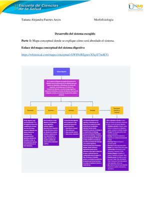 Morfofisiología Sistemas Corporales