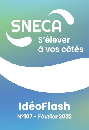 N° 107 IDEOFLASH 2022
