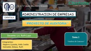 Auditoria Interna Financiera Charlotte Ppt