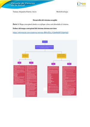 Morfofisiologia Sistema Nerviso