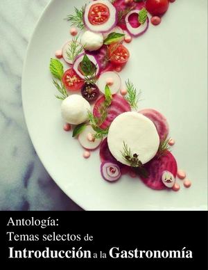 Antologia Temas Selectos De Introduccion