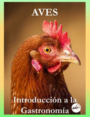 Antologia De Aves