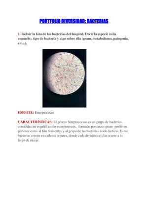 PORTFOLIO HUGO Y ÁNGEL