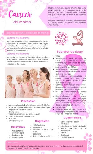 Infografía Cáncer De Mama