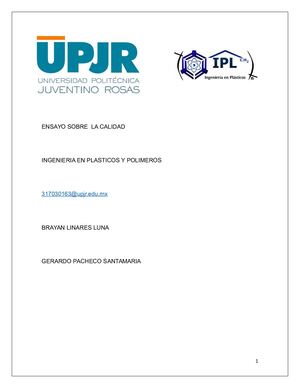 Ensayo Sobre La Calidad