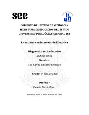 El Diagnóstico Ana Karina Baltazar Camargo