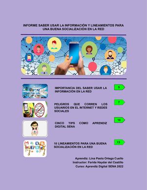Informe Importancia De Usar La Informacion Y Lineamientos Buena Socializacion En La Red