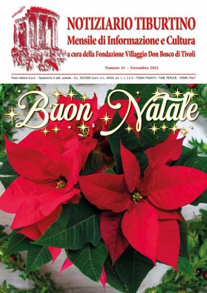 Anno 2022 - n. 11 - Novembre