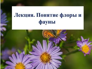 Понятие Флоры и Фауны