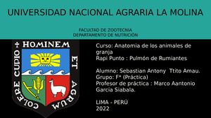 Rapipunto Pulmon De Rumiantes
