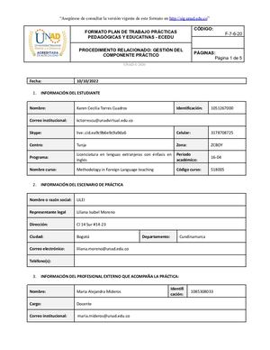 Plan De Trabajo Karen Cecilia Torres Cuadros Docx