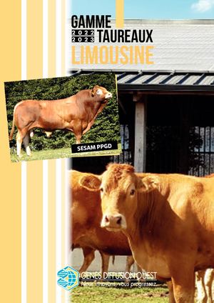 Classification Limousine Ouest 2022-2023